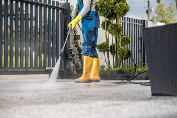 Best Driveway Pressure Washing  in Mulberry, AR